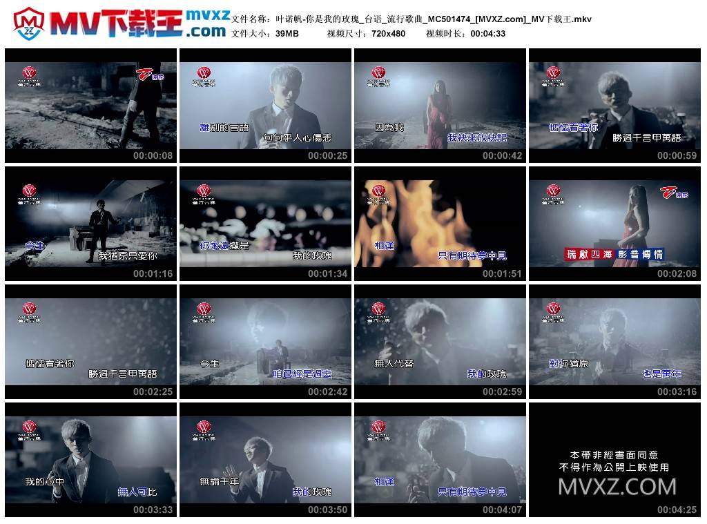 叶诺帆-你是我的玫瑰_台语_流行歌曲_MC501474